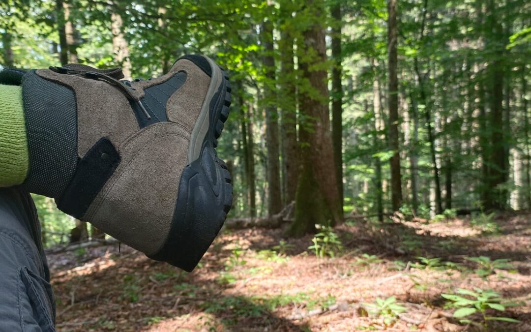 Perché scegliere il parquet? I quattro punti fondamentali!